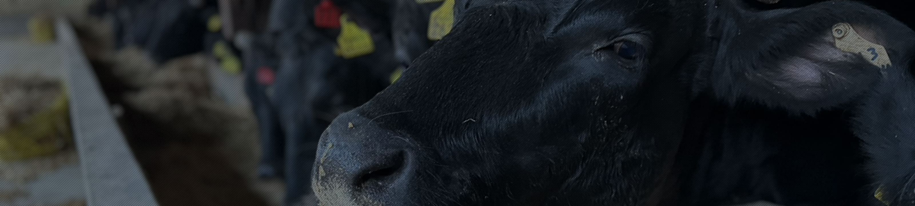 私たちのこだわり